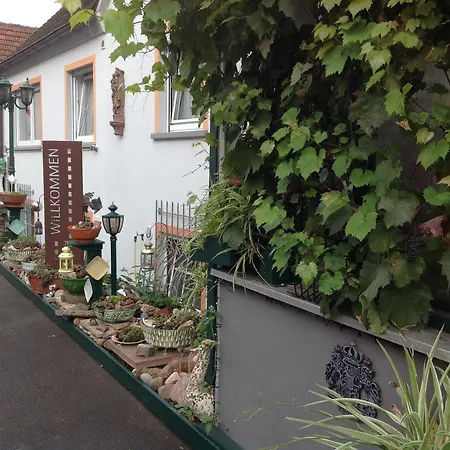 Landpension Villa Dominikus Mombris Exterior photo